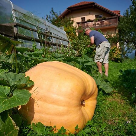 Tourist Farm Kolar Villa Ljubno Eksteriør billede