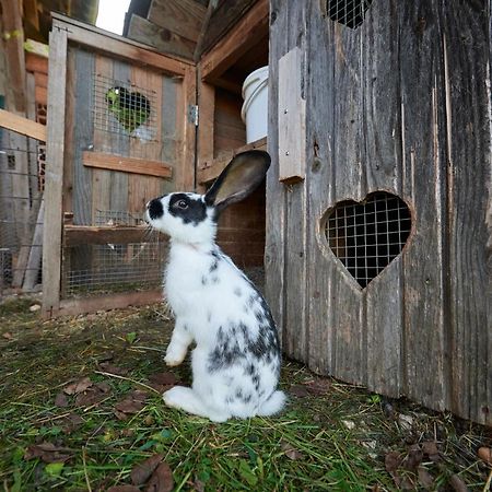 Tourist Farm Kolar Villa Ljubno Eksteriør billede