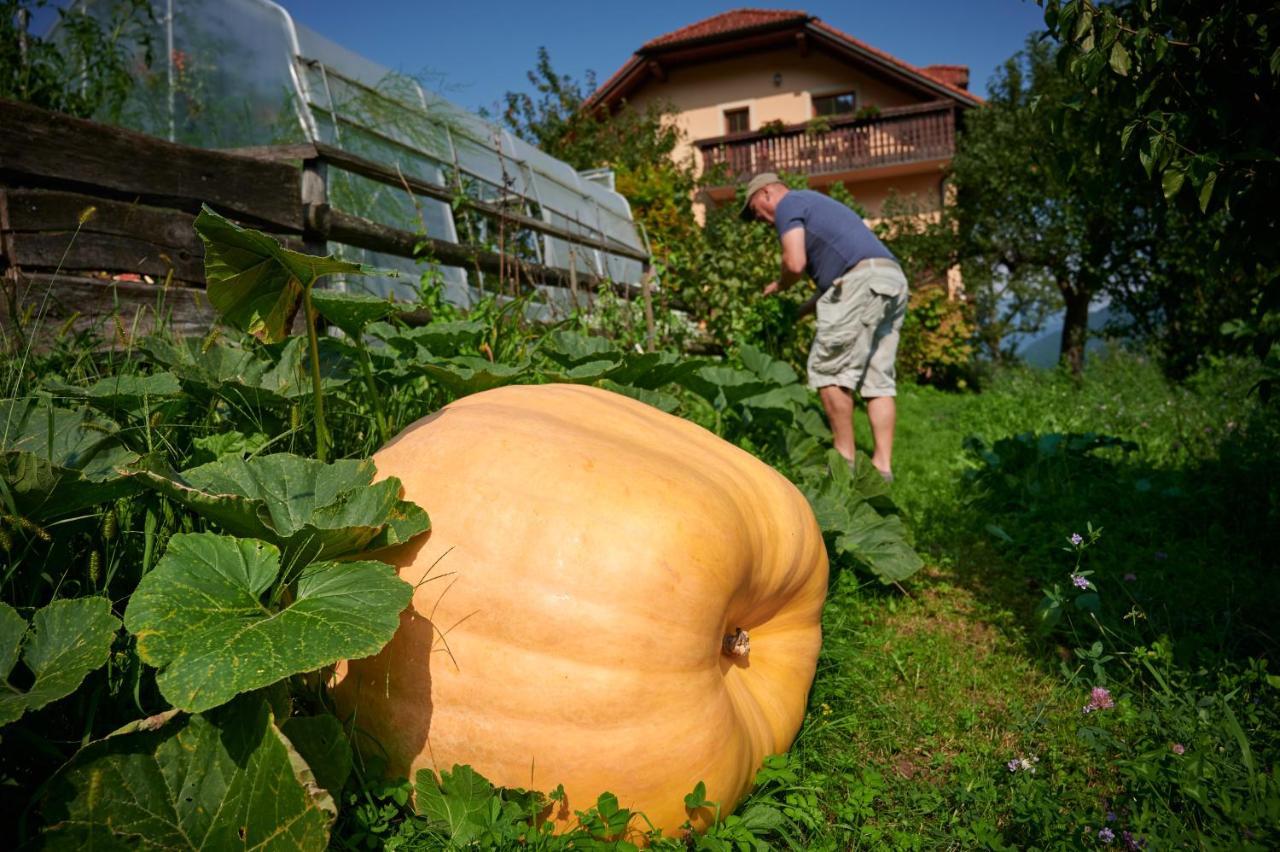 Tourist Farm Kolar Villa Ljubno Eksteriør billede