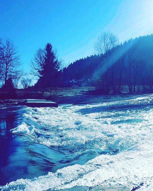 Tourist Farm Kolar Villa Ljubno Eksteriør billede